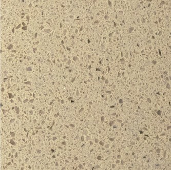 TS001